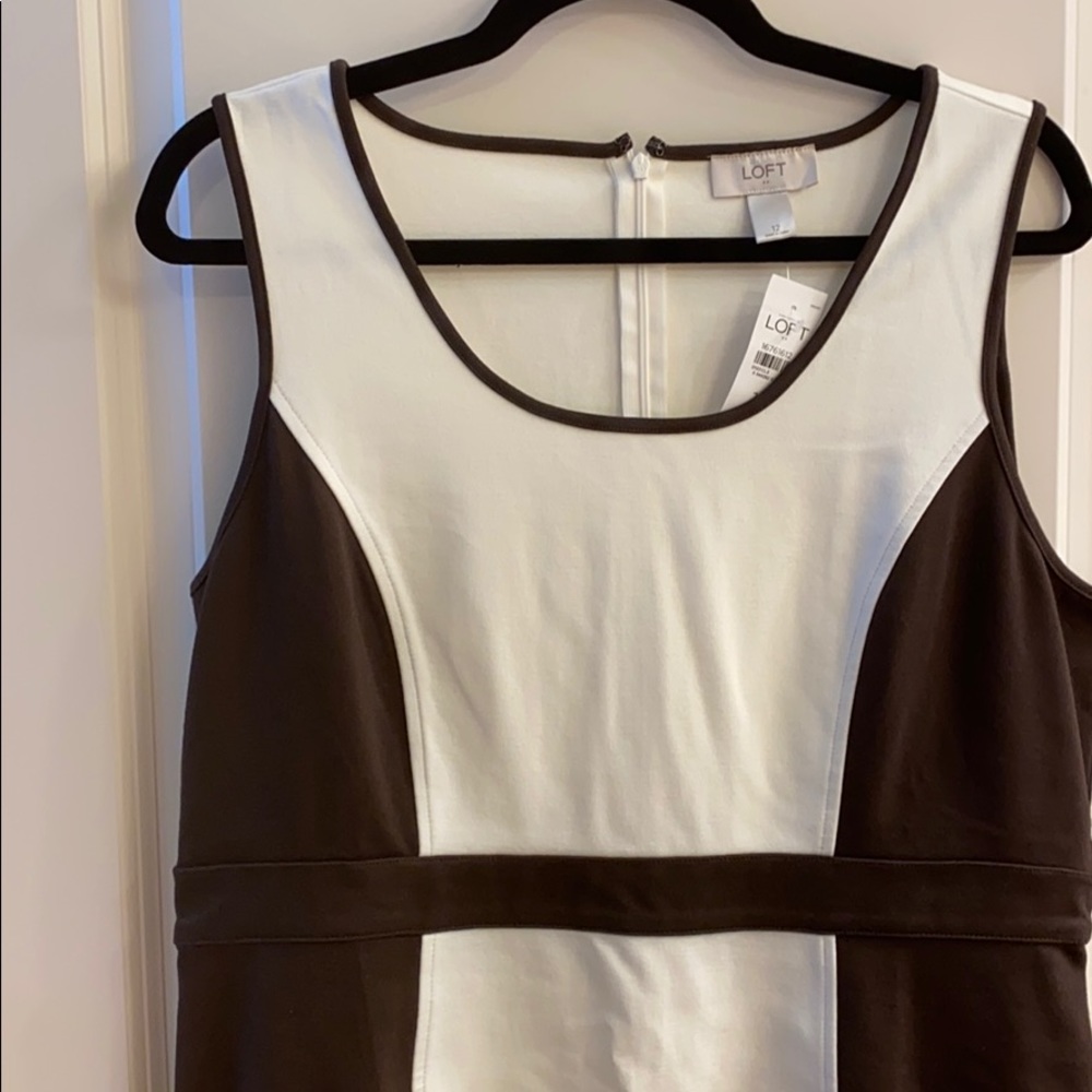 Ann Taylor Brown and Cream Dress Sz 12 NWTS - Picture 3 of 6